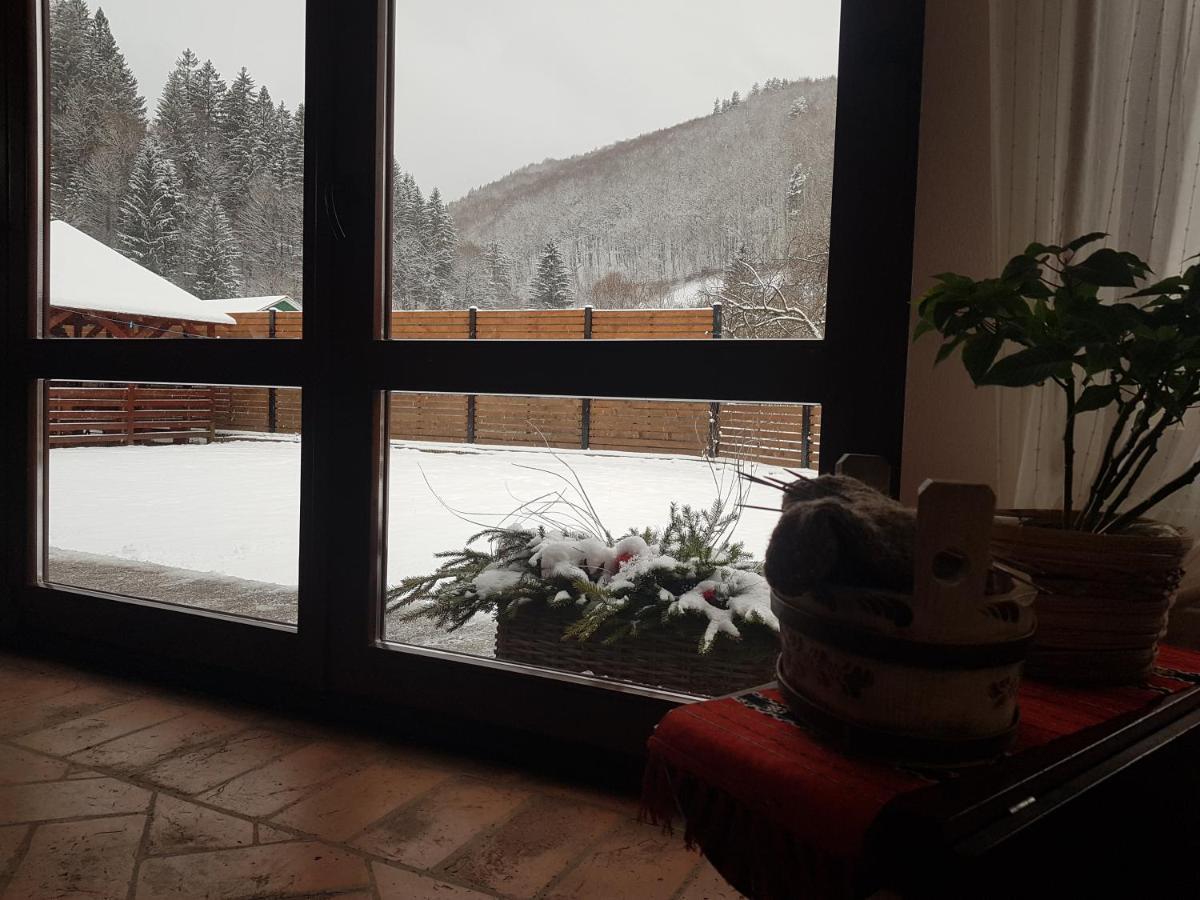 Sura Lu' Vasile. Bed and Breakfast Crivina  Exteriör bild